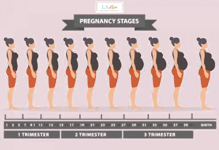 First Trimester (Weeks 1–12): Early Changes You Might Not Notice Ramsey